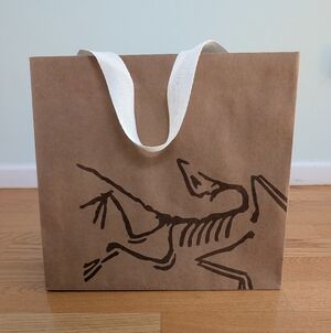 Arc'teryx Arcteryx Square Brown Paper Tote Gift Bag with Fabric Handles